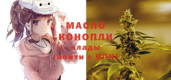 молекула духа Алексин