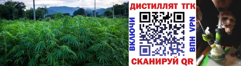 Купить  Пионерский  Дистиллят ТГК вейп 