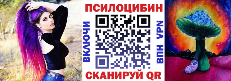 Купить  Пионерский  Псилоцибиновые грибы мицелий 